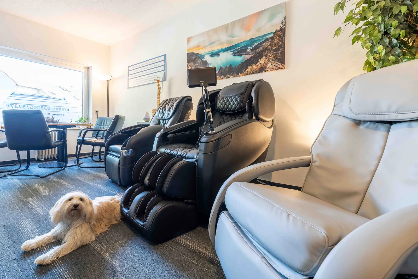 Showroom von René Werner mit Massagesesseln und Lotti